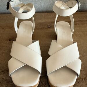 Everlane platform wedge sandal